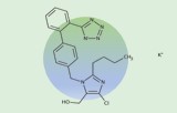 Erythropoietin 