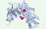 Hexokinase activity assay