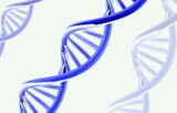 Nucleic acid libraries