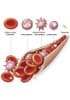 Peripheral blood