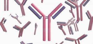 Optimized Primary antibodies for reliable Research at 15% OFF 