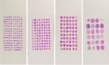 Paraffin Tissue Array