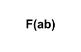 F(ab) 