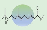 Juvenile hormone