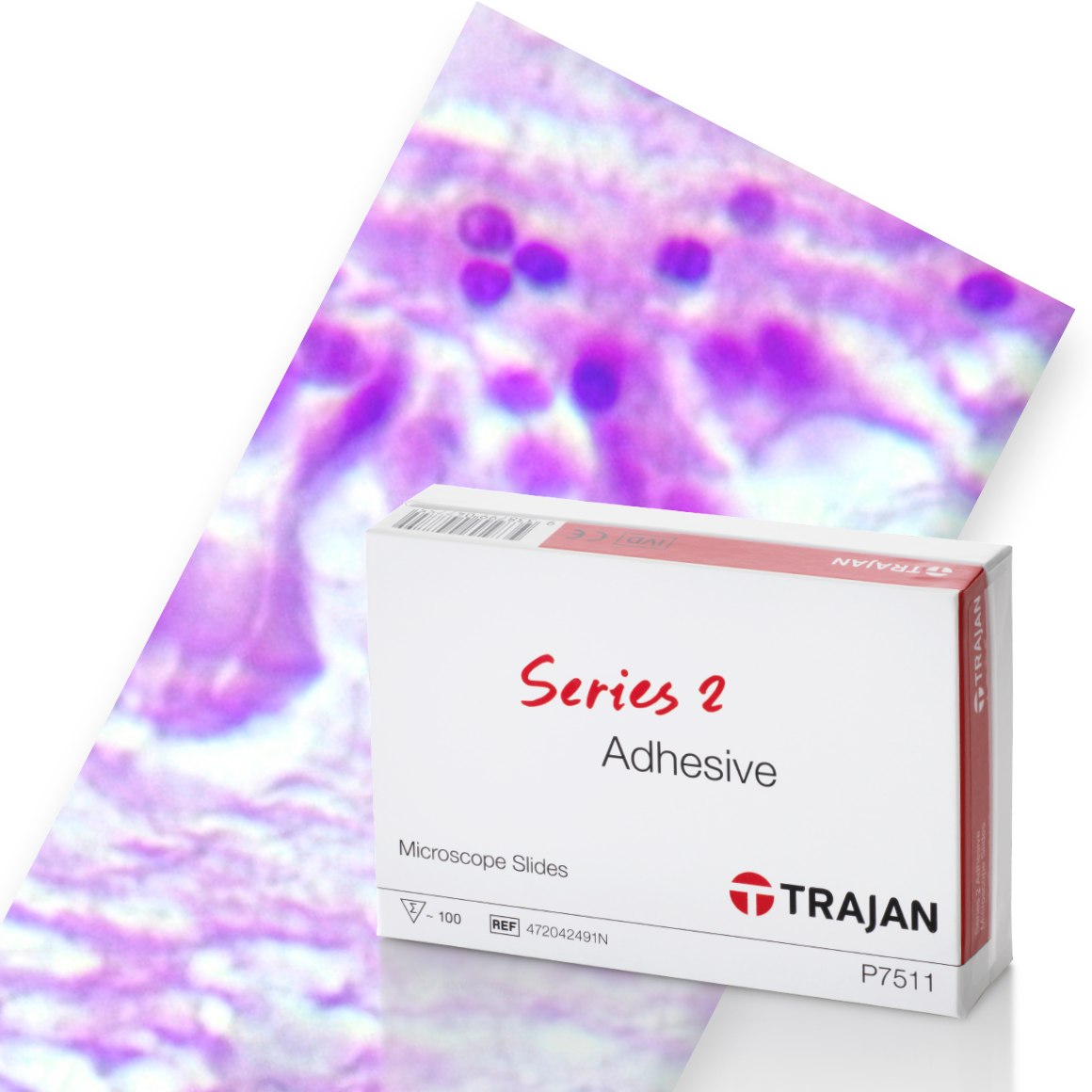 Trajan Series 2 Adhesive Microscope Slides