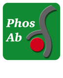 VE-Cadherin (Tyr-685), phospho-specific Antibody