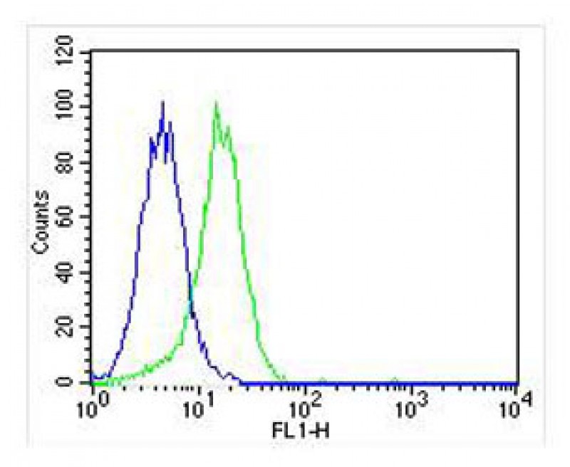 FC - CSF1R Antibody AM8467b