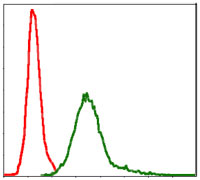 FC - BIRC5 Antibody AO1653a