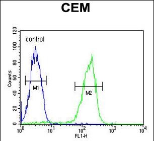 FC - MAP1S Antibody (Center) AP5769c