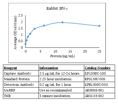 Rabbit IFN gamma Standard Curve