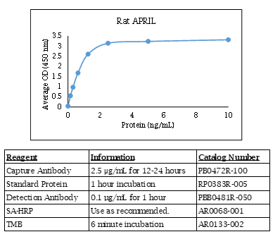 Rat APRIL Standard Curve