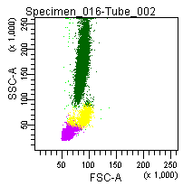 Figure 6: Forward and side scatter pattern of a normal blood sample treated with GAS-002.