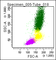 Scatter characteristics of normal blood leukocyte subpopulations after immunolabeling with GIC-212.