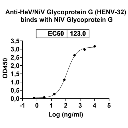 Nipah Virus Glycoprotein G (NiV G) Protein