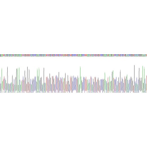 Rat Cytokine Receptor Like Factor 1 (CRLF1) Protein