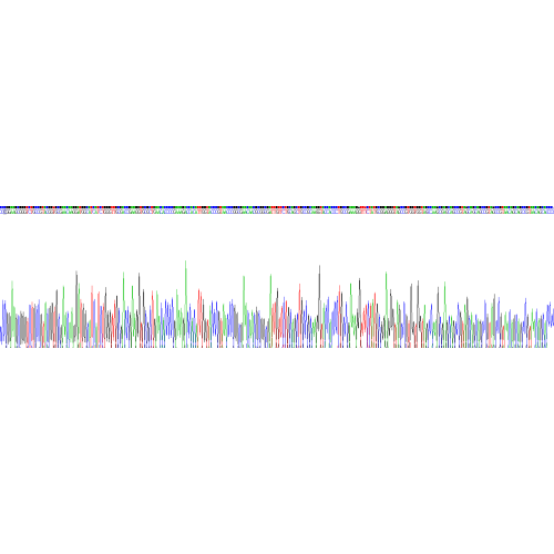 SARS-CoV-2 Nucleoprotein