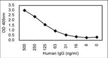 Detection of human IgG by sandwich ELISA using Anti-human IgG (KT48) Antibody (Cat. No. 254534) as capture antibody and Cat. No. 254533 as detection antibody.