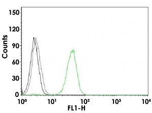 Flow Cytometry