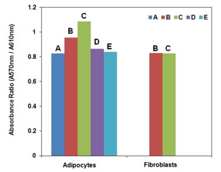 Measurement of 2DG uptake in differentiated 3T3-L1 adipocytes and 3T3-L1 fibroblasts.