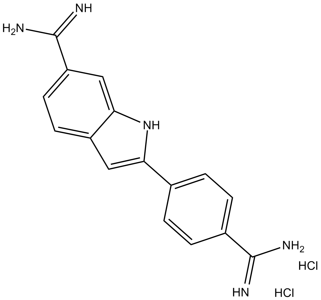 DAPI (hydrochloride)