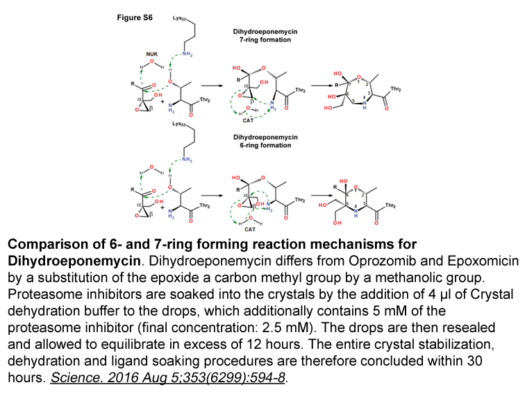 Dihydroeponemycin