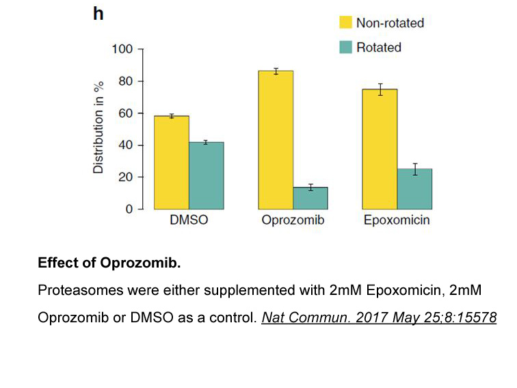 Oprozomib (ONX-0912)