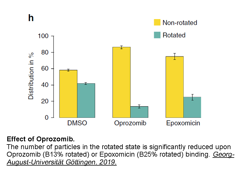 Oprozomib (ONX-0912)