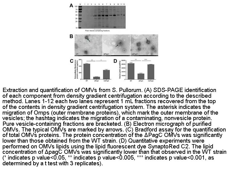 SynaptoRedTM C2