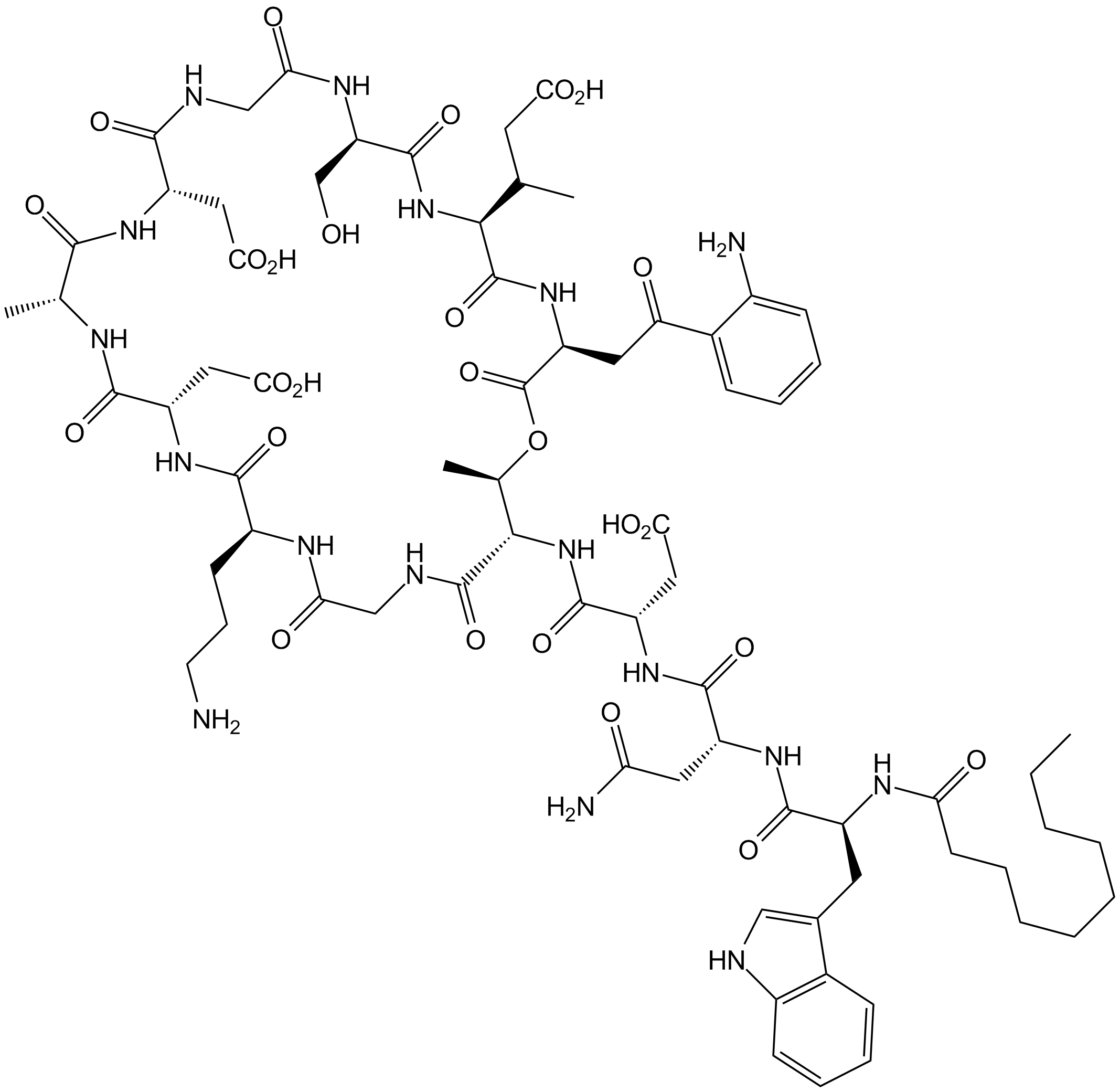 Daptomycin