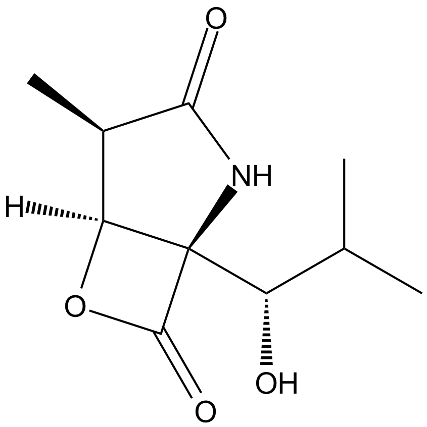 Clasto-Lactacystin β-lactone