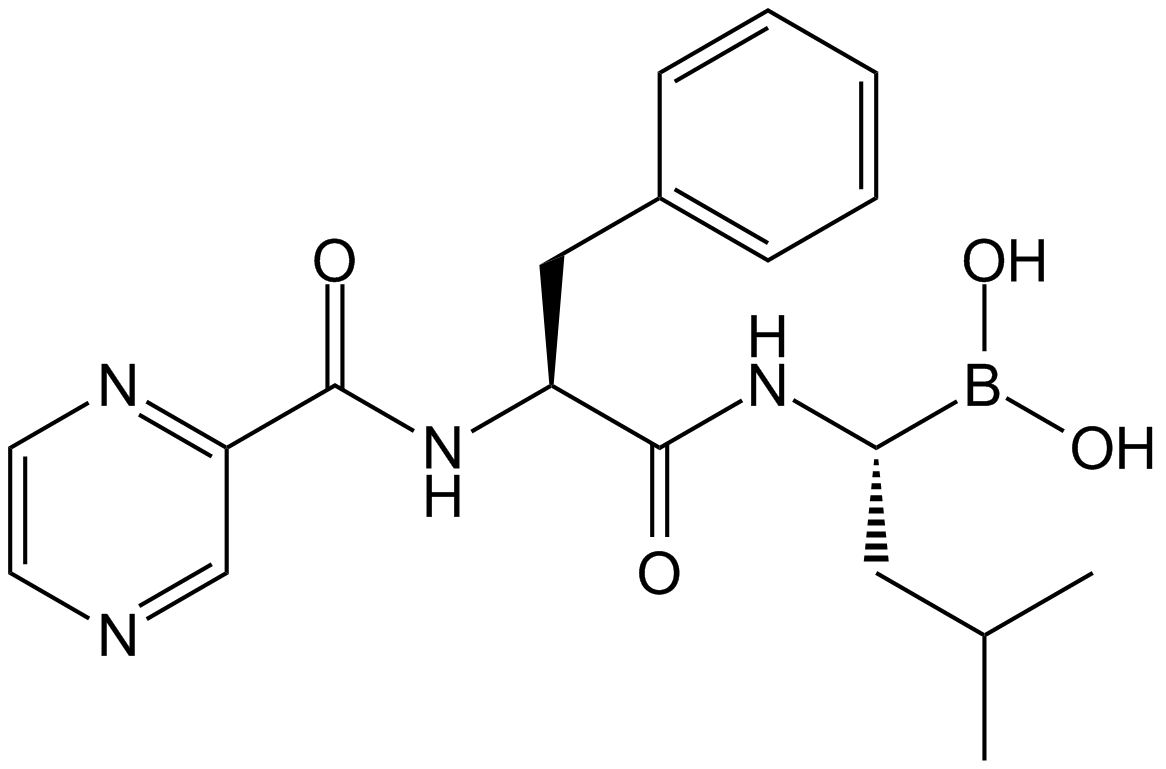 Bortezomib (PS-341)