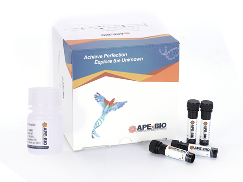 Caspase-3 Fluorometric Assay Kit