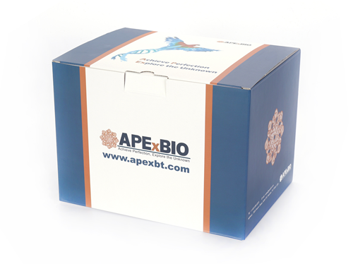 Caspase-4 Fluorometric Assay Kit