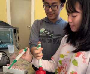 High schooler Lan Anh Nguyen and her teammate working on their science project