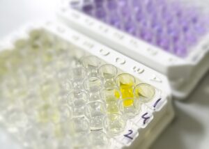 ELISA Assay Kit with yellow and purple wells