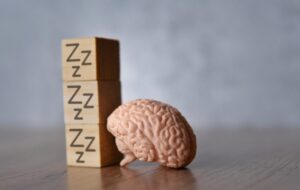 Brain sculpture on a table against a stack of blocks with 