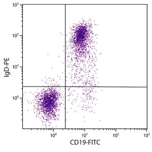 BALB/c mouse splenocytes