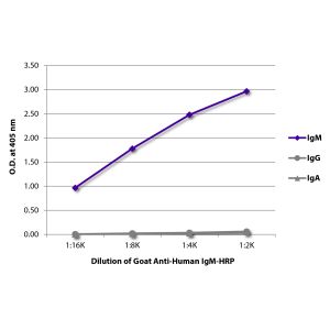 Purified human IgM, IgG, and IgA