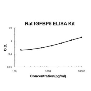 IGFBP5 ELISA