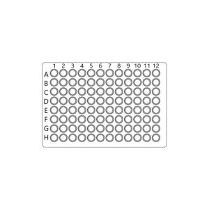 Insulin ELISA Kit (Rabbit) : 96 Wells (OKCA00228)