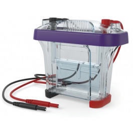 10-well protein Vertical Electrophoresis Apparatus