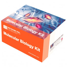 Rapid Blood Genomic DNA Extraction Kit