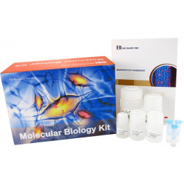 96 Well Plate Bacterial Total RNA Miniprep Super Kit