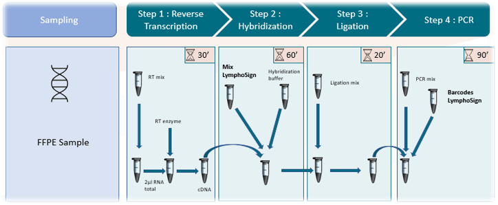 LymphoSign FR