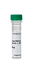 Recombinant Human IL-3