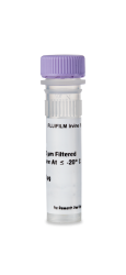 Recombinant Mouse IL-1α / IL-1F1