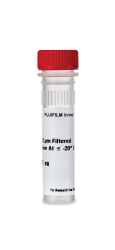 Recombinant Human IFN-α 2b