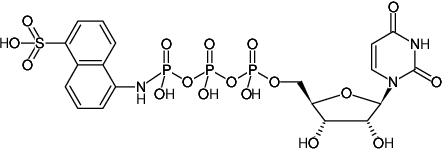 Structural formula of UTP-γ-AmNS (Uridine-5'-triphosphate-γ-(sulfo-1-naphthyl)amide, Triethylammonium salt)