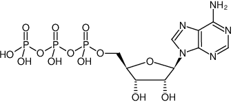 Structural formula of ATP - Solution (100 mM Sodium salt solution, Adenosine 5'-triphosphate, Sodium salt)