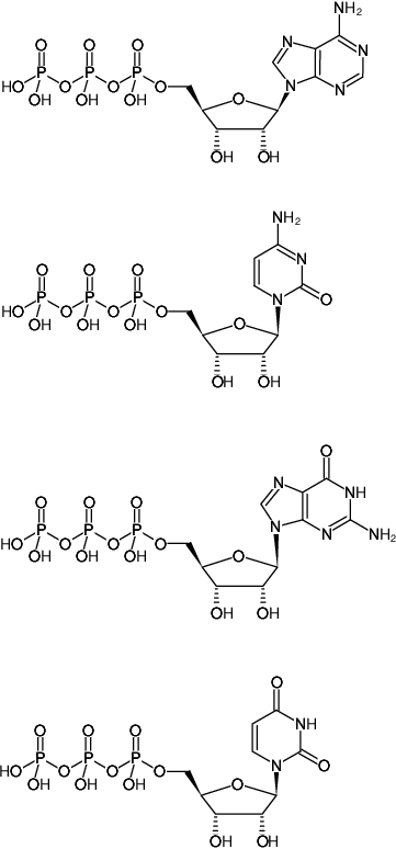 Structural formula of NTP Bundle (ATP, CTP, GTP and UTP 100 mM solutions, Adenosine-5'-triphosphate, Sodium salt; Cytidine-5'-triphosphate, Sodium salt; Guanosine-5'-triphosphate, Sodium salt; Uridine-5'-triphosphate, Sodium salt)